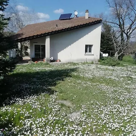 Melograni